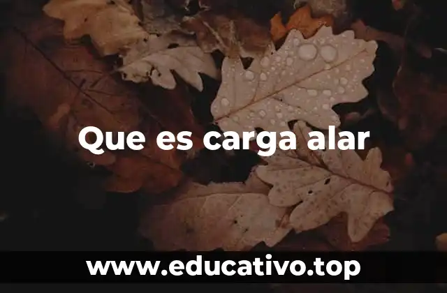 Que es carga alar