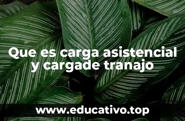 Que es carga asistencial y cargade tranajo