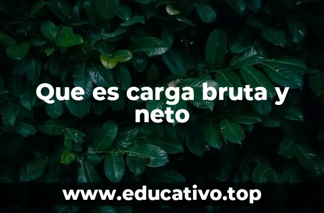 Diferencias entre carga bruta y carga neta