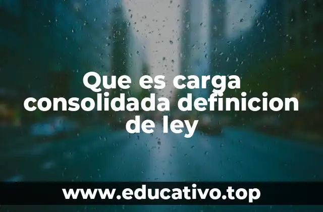 Que es carga consolidada definicion de ley