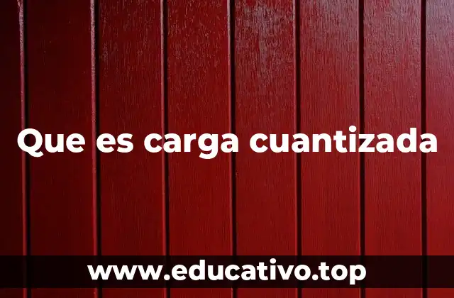 Que es carga cuantizada
