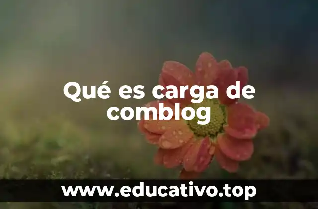 Qué es carga de comblog