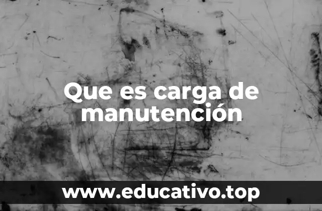 Que es carga de manutención
