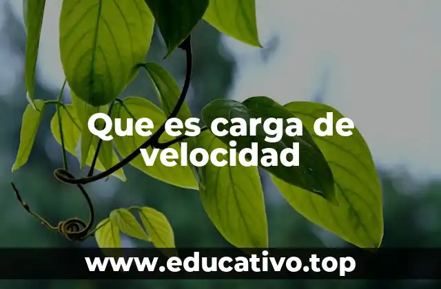 Que es carga de velocidad
