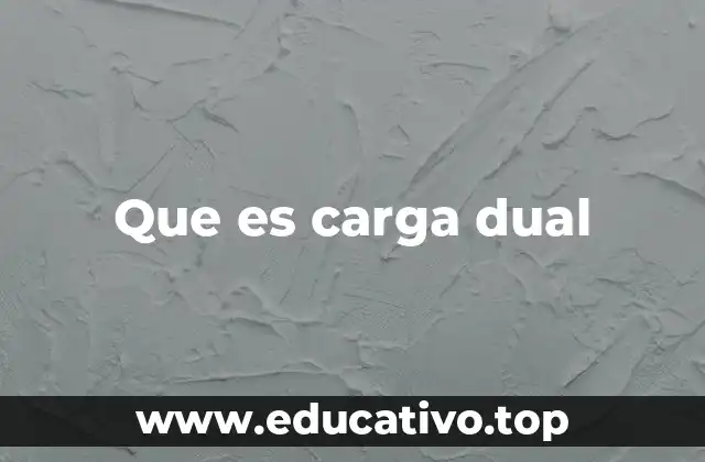 Que es carga dual