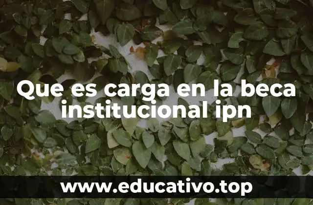 Que es carga en la beca institucional ipn