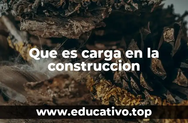 Que es carga en la construccion