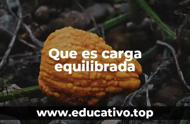 Que es carga equilibrada