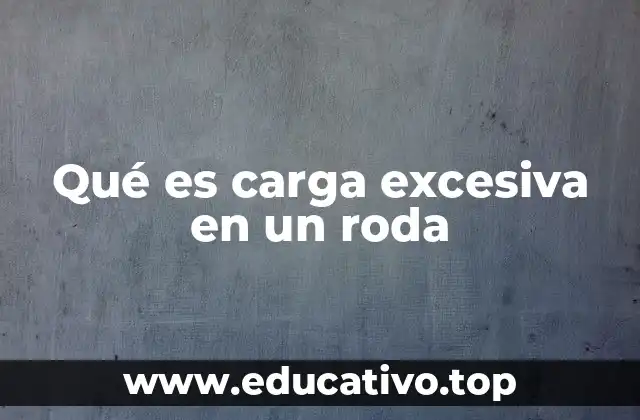 Qué es carga excesiva en un roda