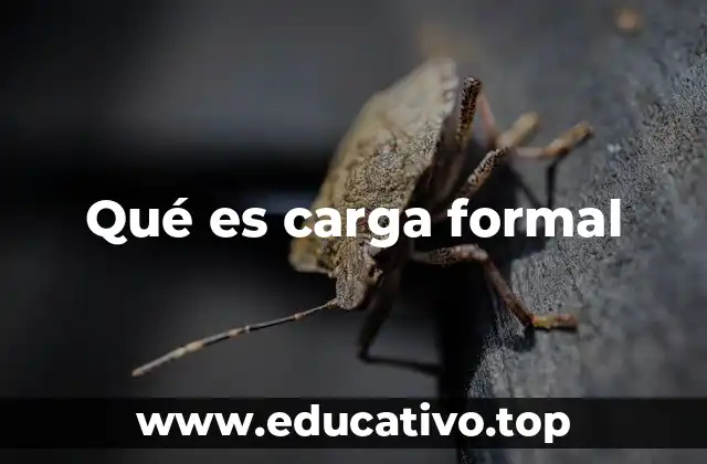 Qué es carga formal