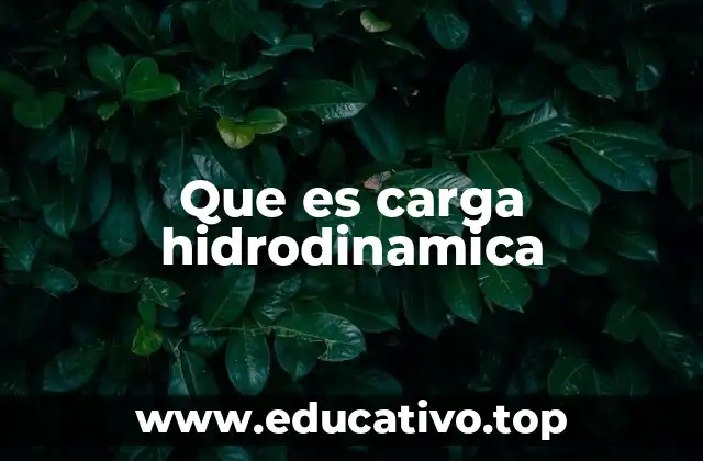 Que es carga hidrodinamica