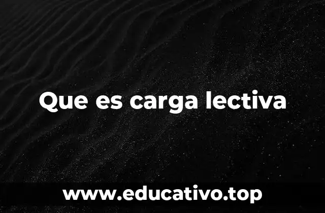 Que es carga lectiva