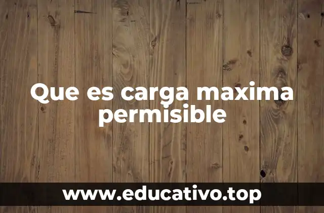 Que es carga maxima permisible