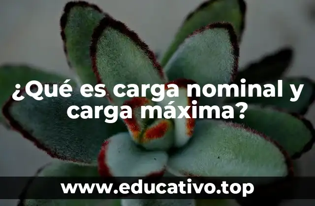 ¿Qué es carga nominal y carga máxima?