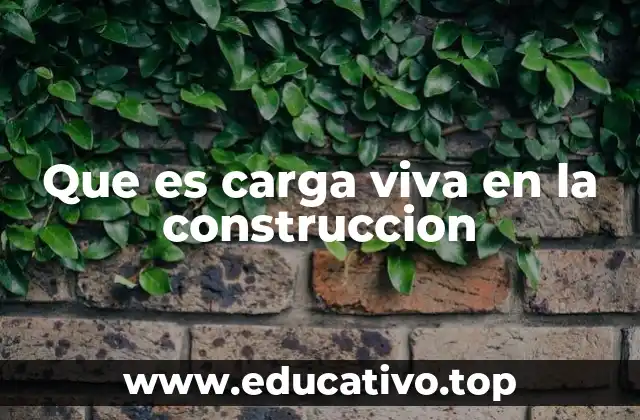 Que es carga viva en la construccion
