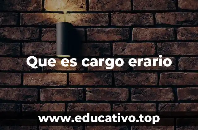 Que es cargo erario