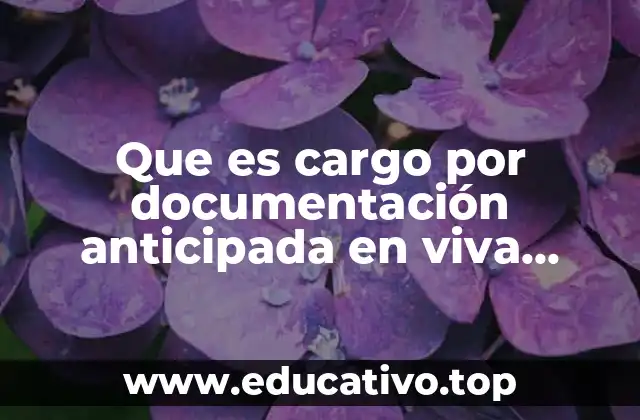 Que es cargo por documentación anticipada en viva aerobus