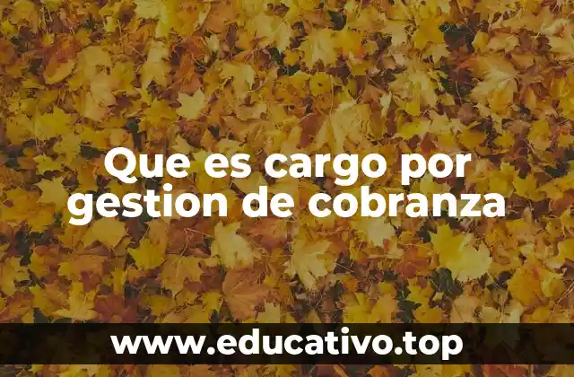 Que es cargo por gestion de cobranza
