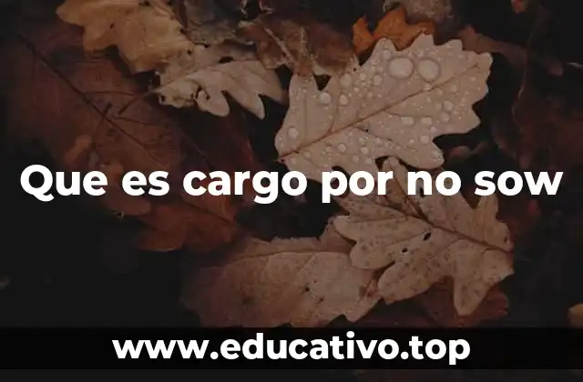 Que es cargo por no sow