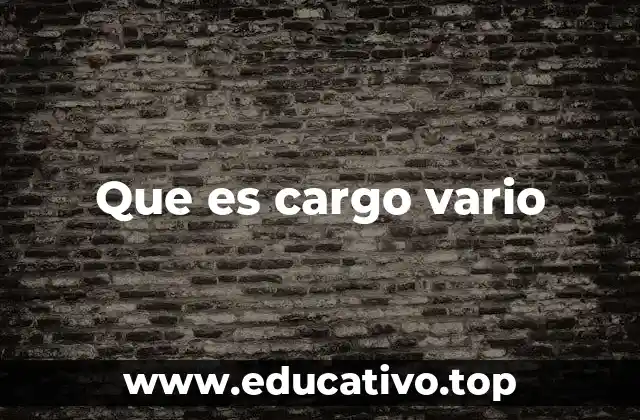 Que es cargo vario
