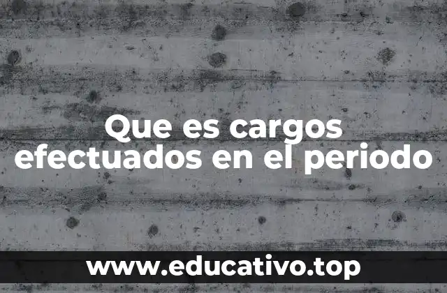 Que es cargos efectuados en el periodo