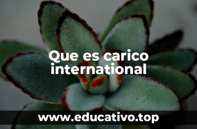 Que es carico international