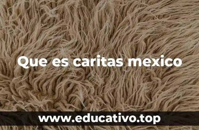 Que es caritas mexico