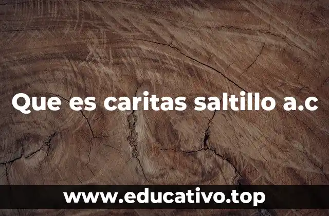 Que es caritas saltillo a.c