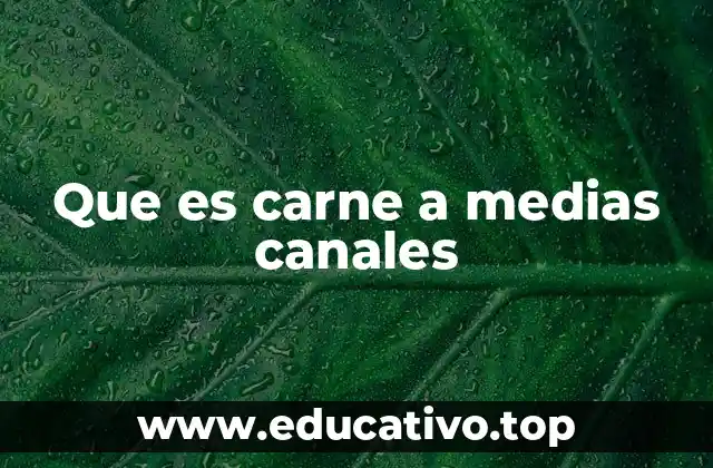 Características de la carne a medias canales
