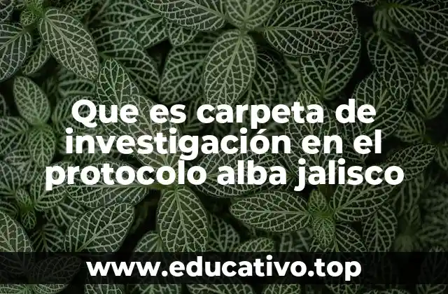 Que es carpeta de investigación en el protocolo alba jalisco