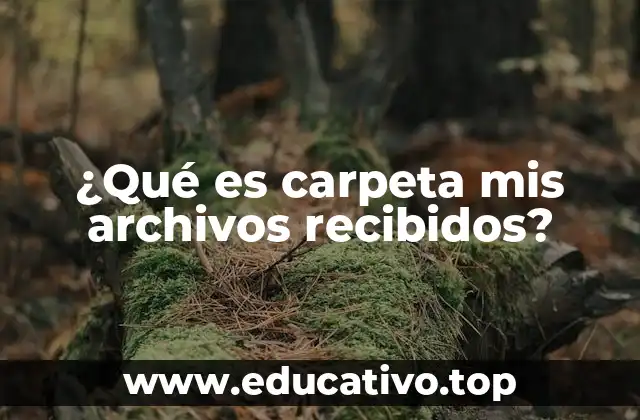 ¿Qué es carpeta mis archivos recibidos?