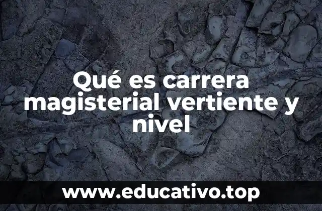 Qué es carrera magisterial vertiente y nivel