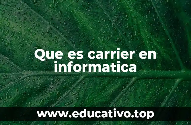 Que es carrier en informatica