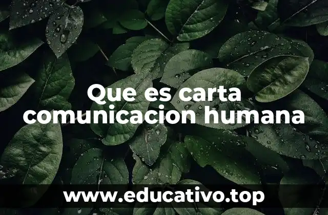 La carta como puente entre personas y contextos