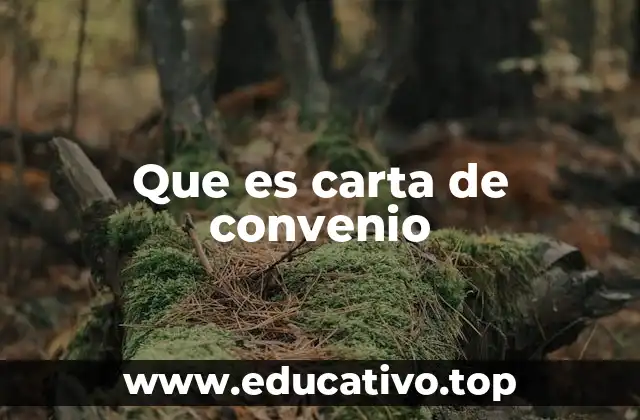 Que es carta de convenio