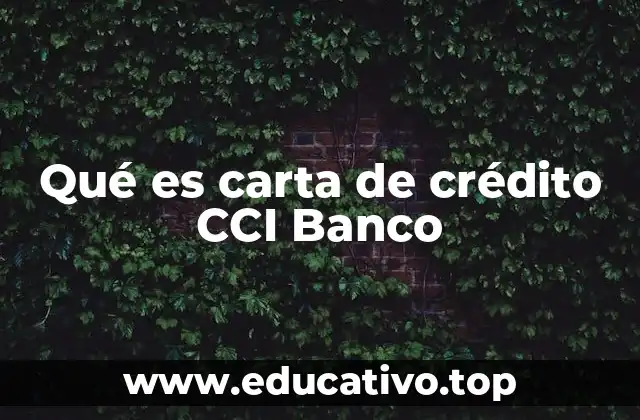 Cómo funciona la carta de crédito CCI Banco