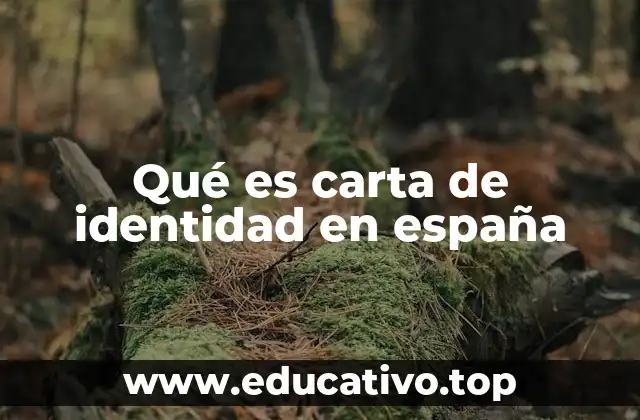 Qué es carta de identidad en españa