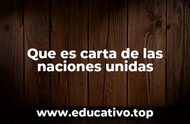Que es carta de las naciones unidas