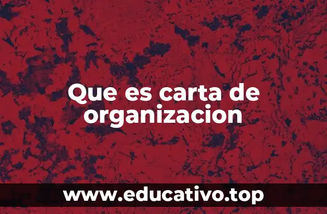 Que es carta de organizacion