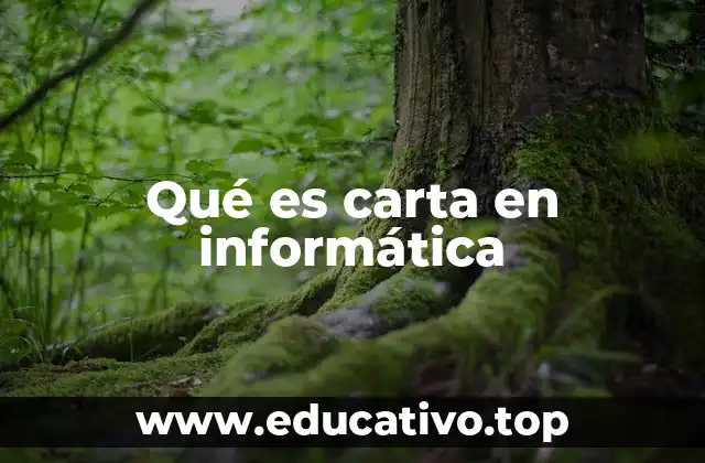 Qué es carta en informática