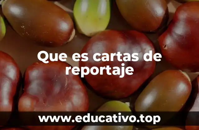 Que es cartas de reportaje