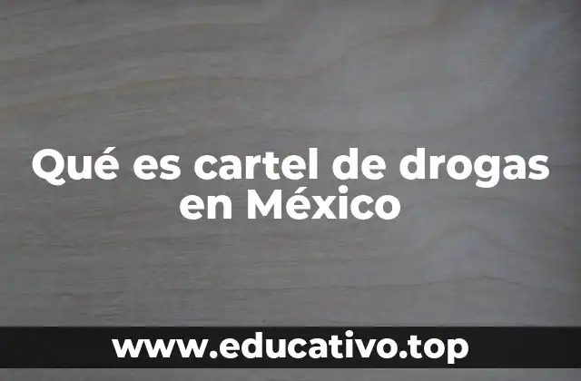Qué es cartel de drogas en México