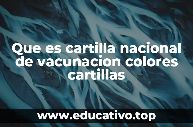 Que es cartilla nacional de vacunacion colores cartillas