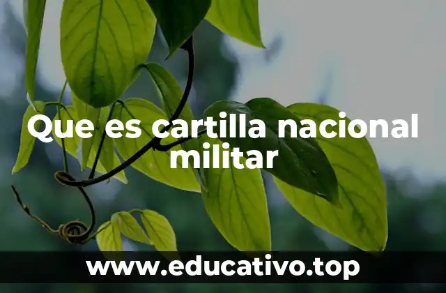 Que es cartilla nacional militar