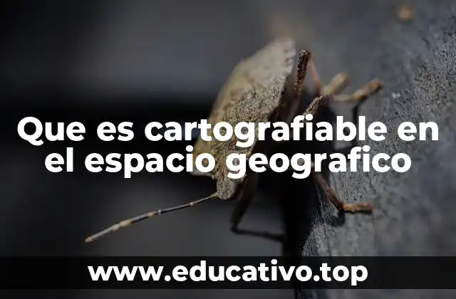 Que es cartografiable en el espacio geografico