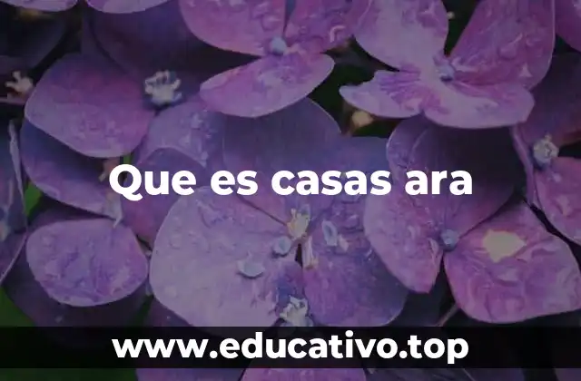 Que es casas ara