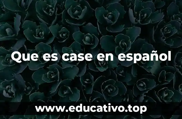 Que es case en español