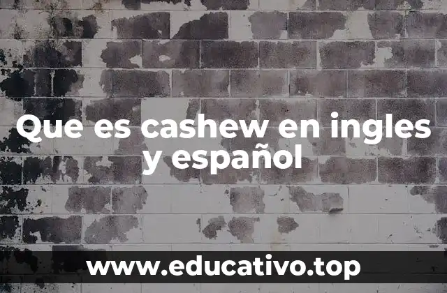 Que es cashew en ingles y español