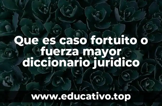 Que es caso fortuito o fuerza mayor diccionario juridico
