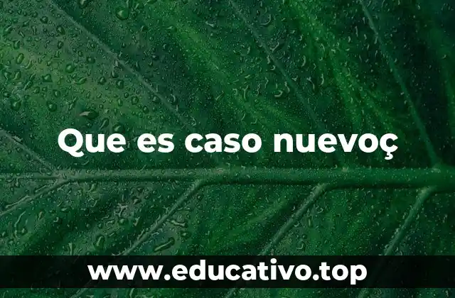 Que es caso nuevoç